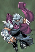 miniatura obrazka z bajki Wojownicze żółwie ninja z mistrzem Shredderem złym mistrzem ninjutsu